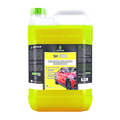PROT SH 1000 DETERGENTE SHAMPOO NEUTRO 5 LTS PROTELIM